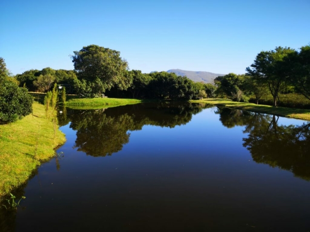dam view, felicita farm for sale, stanford